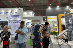 出台了一系列政策成长